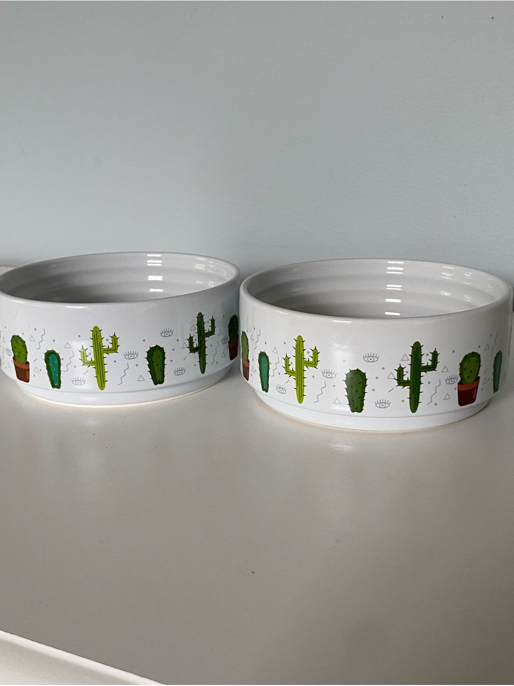 Top Paw Ceramic Bowls New Cactus Southwest 5” Set Of 2 Green White Non Skid cat.
